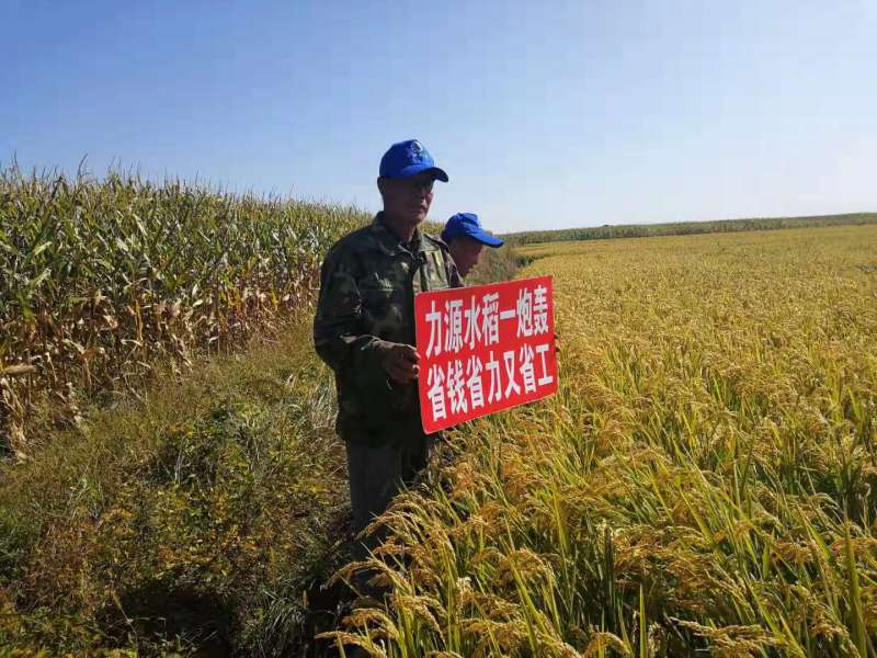 &#38886;&#24503;&#32593;&#31449;&#45;&#40;&#20013;&#22269;&#41;&#26377;&#38480;&#36131;&#20219;&#38886;&#24503;&#32593;&#31449;